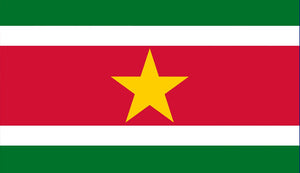 Suriname Flag Sticker - Design Your Own Stickers