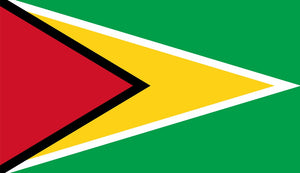 Guyana Flag Sticker - Design Your Own Stickers