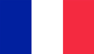 Clearance France Flag Sticker - Design Your Own Stickers