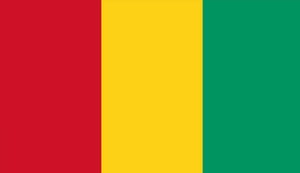 Guinea Flag Sticker - Design Your Own Stickers