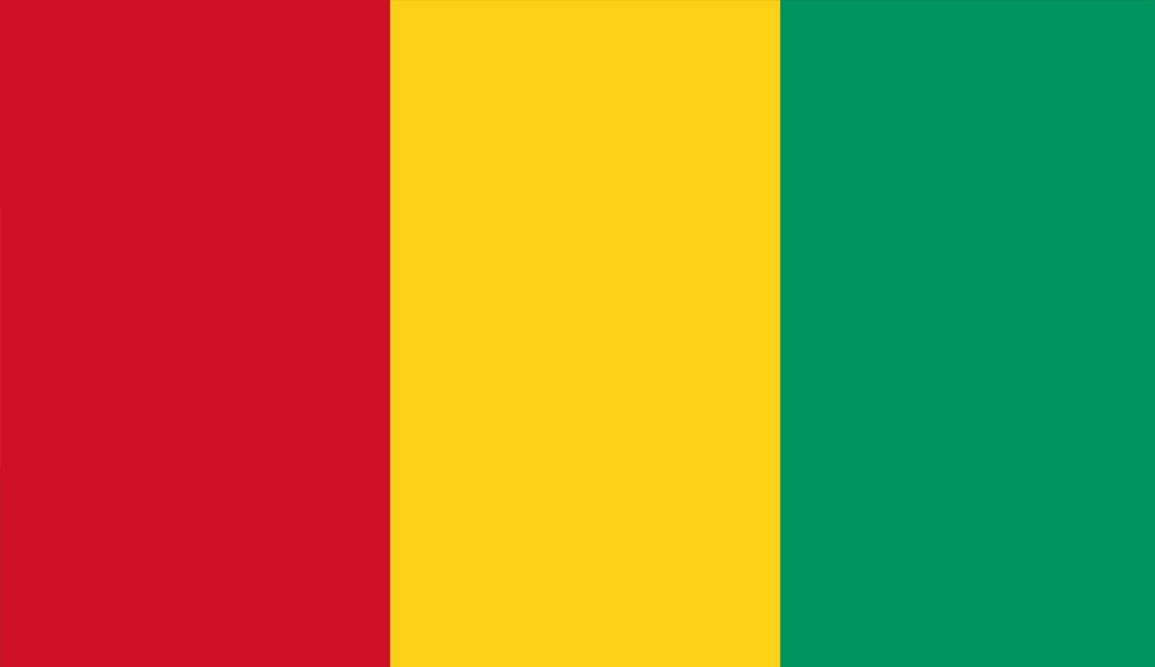 Guinea Flag Sticker - Design Your Own Stickers