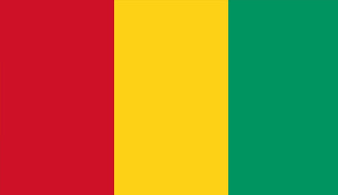 Guinea Flag Sticker - Design Your Own Stickers