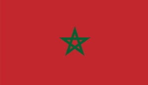 Clearance Morocco Flag Sticker - Design Your Own Stickers