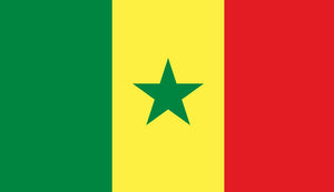 Clearance Senegal Flag Sticker - Design Your Own Stickers