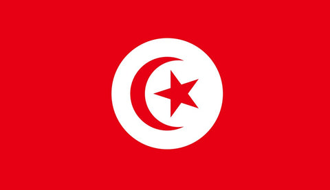 Tunisia Flag Sticker - Design Your Own Stickers